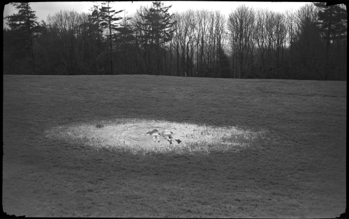 copse witch dewpond