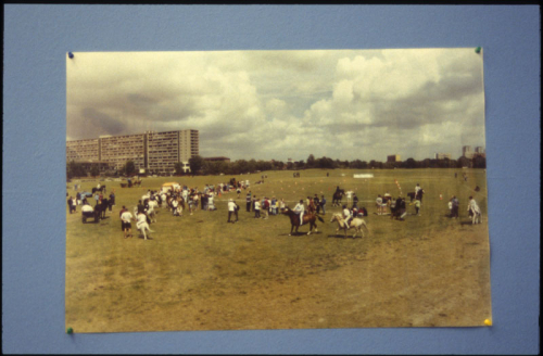 A real pony race for a bridle
