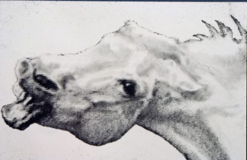 things that appear and disappear