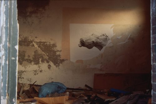 things that appear and disappear