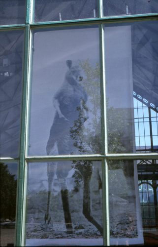 things that appear and disappear